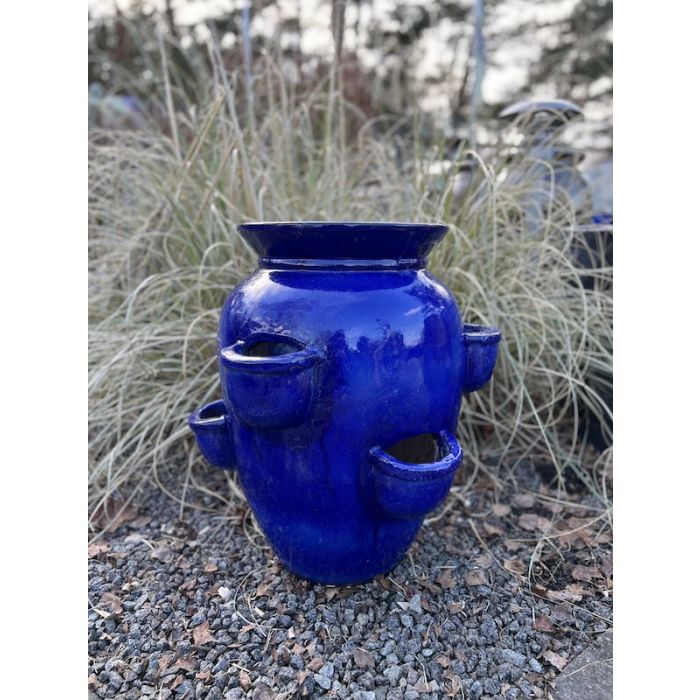 Jordbær-Krukke-Blå-H.60