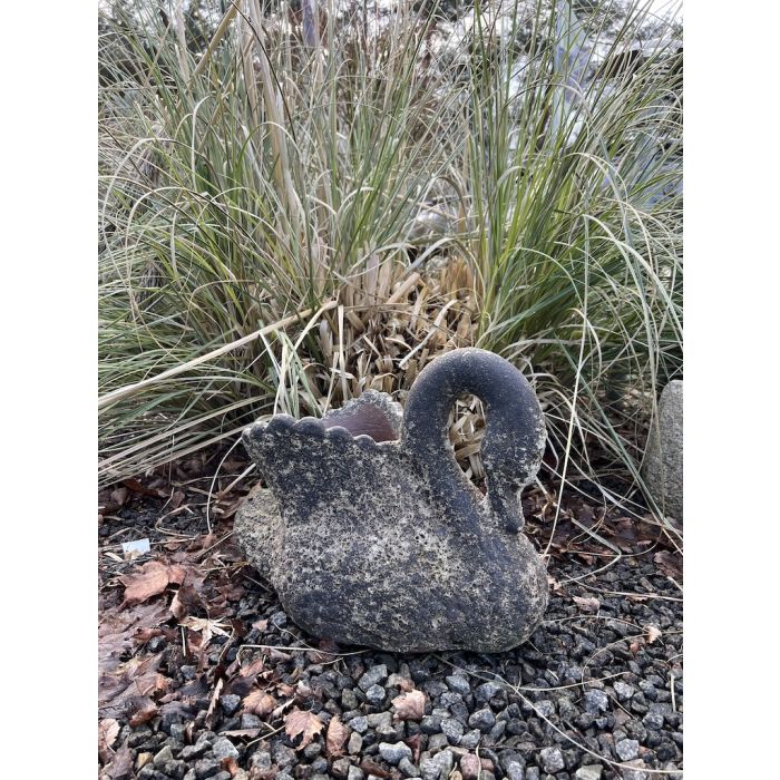 Svane Med Plads til Blomster I Farven Bubble black