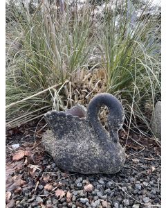 Svane Med Plads til Blomster I Farven Bubble black