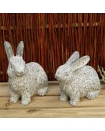 Harepar Granit ca 15cm