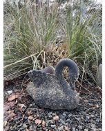 Svane Med Plads til Blomster I Farven Bubble black